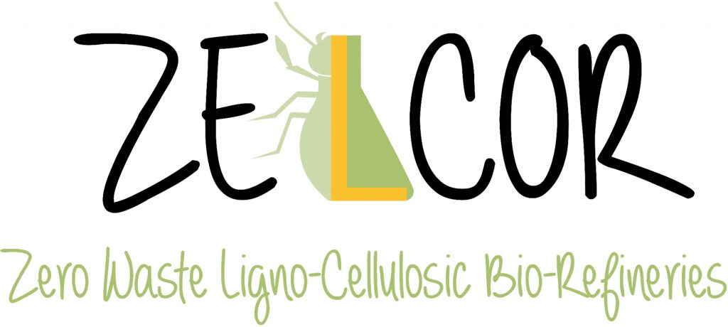 Logo_ZELCOR
