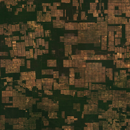 Ceres - The Investor Guide to Deforestation and Climate Change