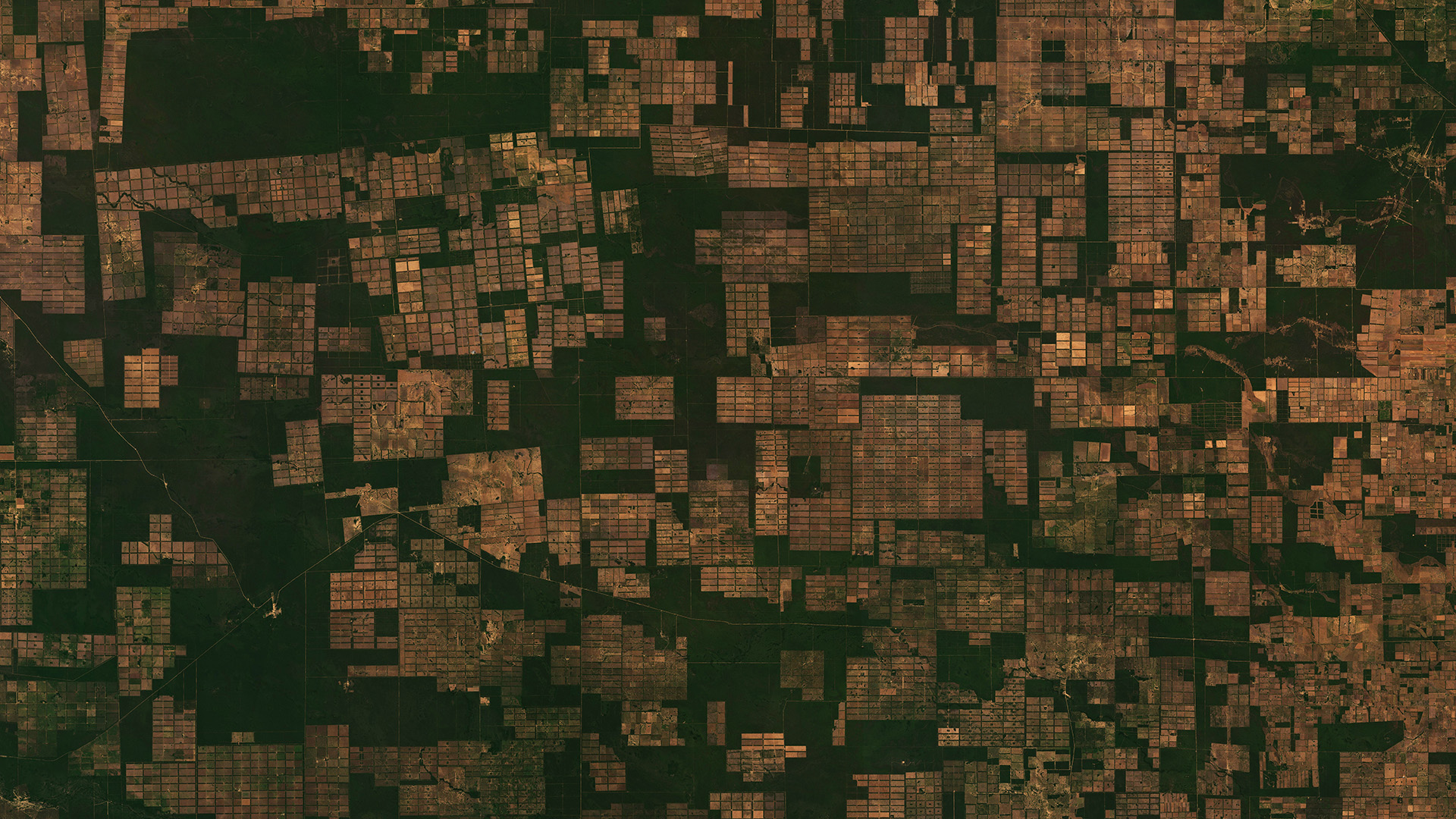 Ceres - The Investor Guide to Deforestation and Climate Change