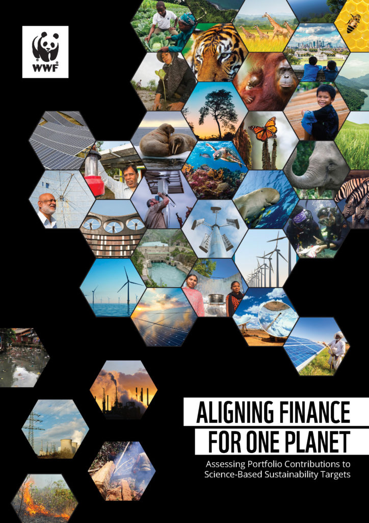 aligning_finance_for_one_planet_report
