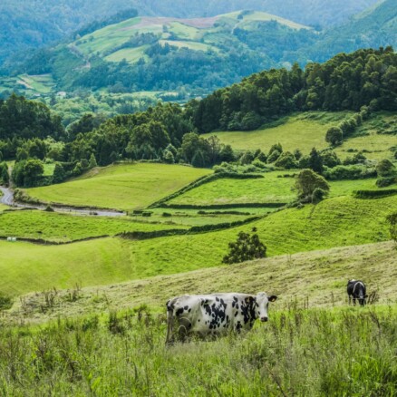 Assessing plastic leakage across Arla’s global value chain