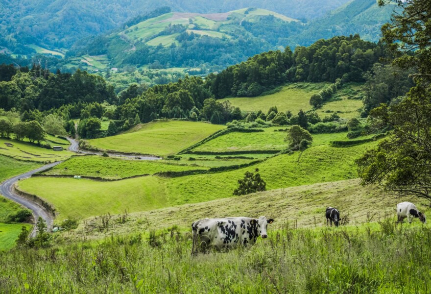 Assessing plastic leakage across Arla’s global value chain