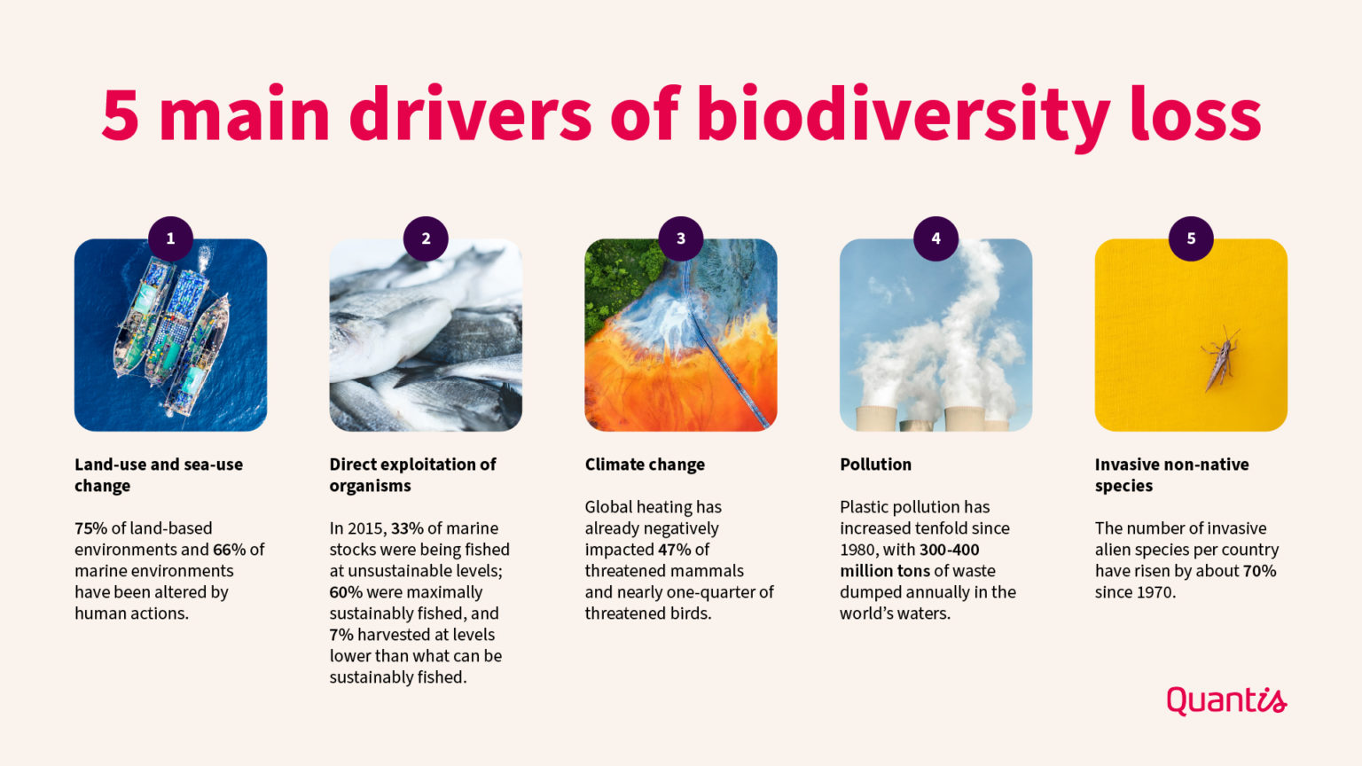 Quantis Insights – Warum Biodiversität Wichtig Für Das Business Ist