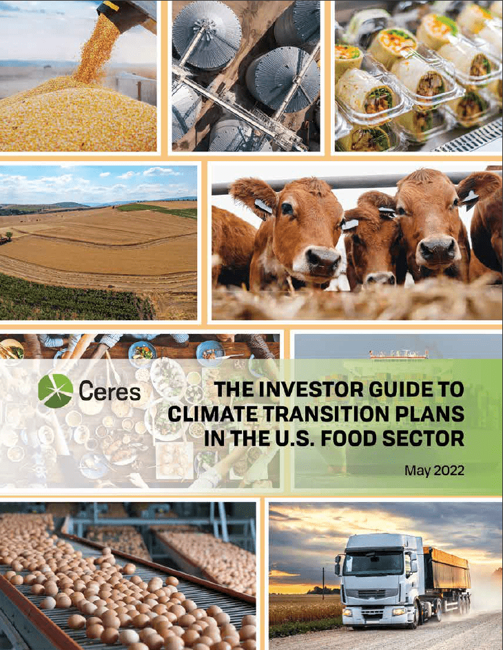 Investor Guide to Climate Transition Plans