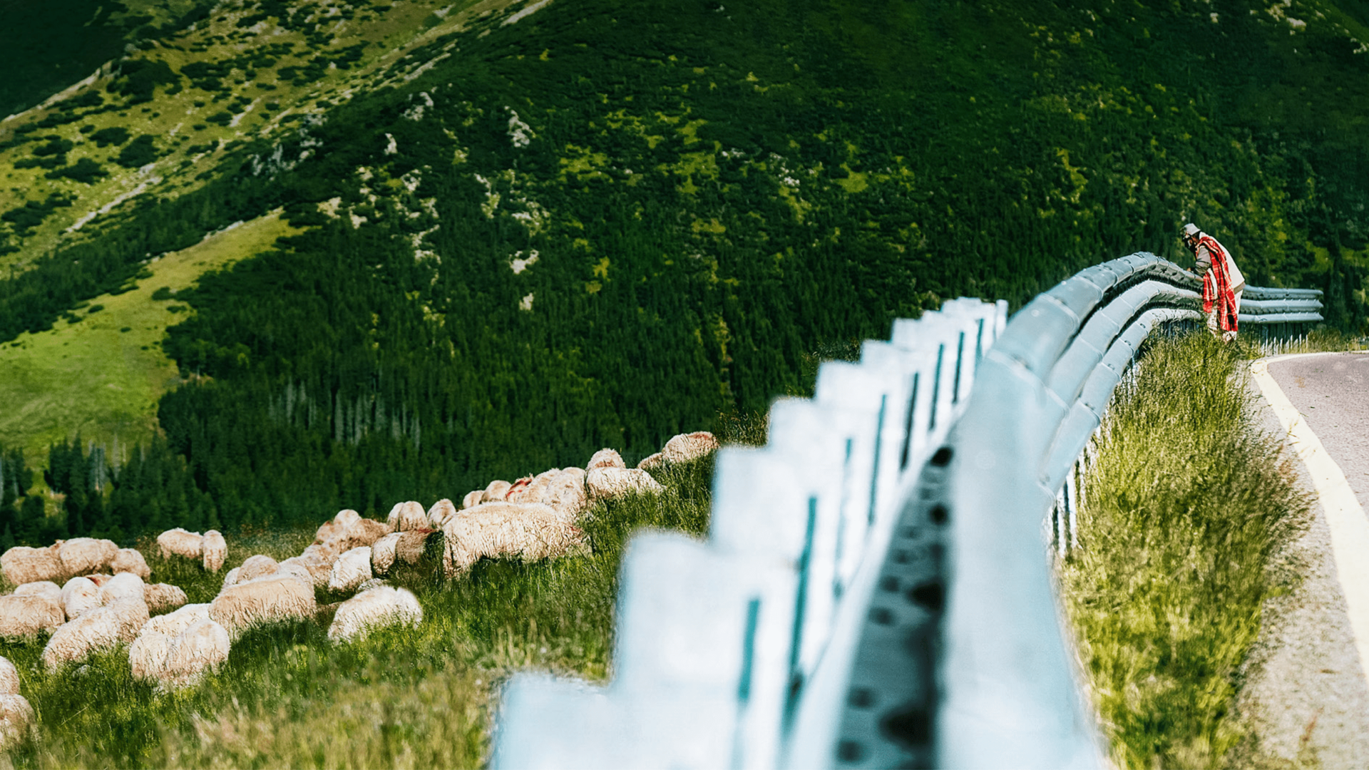 Preparing for the EU Green Claims Directive