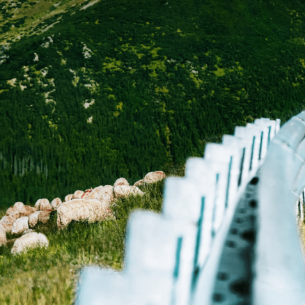 Preparing for the EU Green Claims Directive