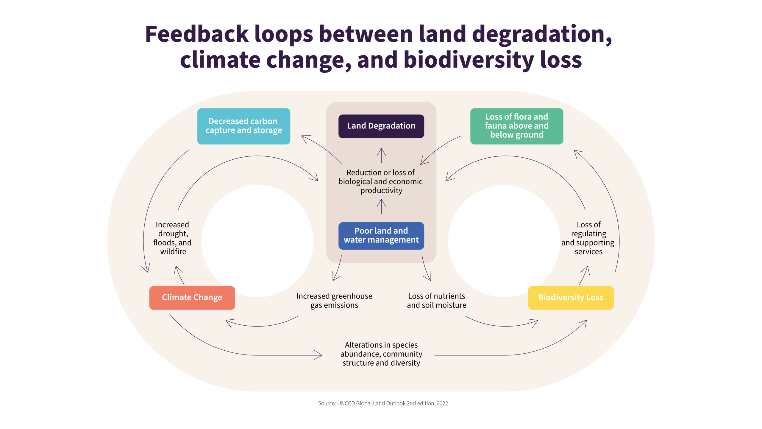 link between land degradation, climate change and biodiversity