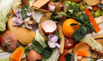 Organic Food waste