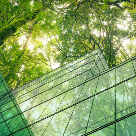 building nature strategy