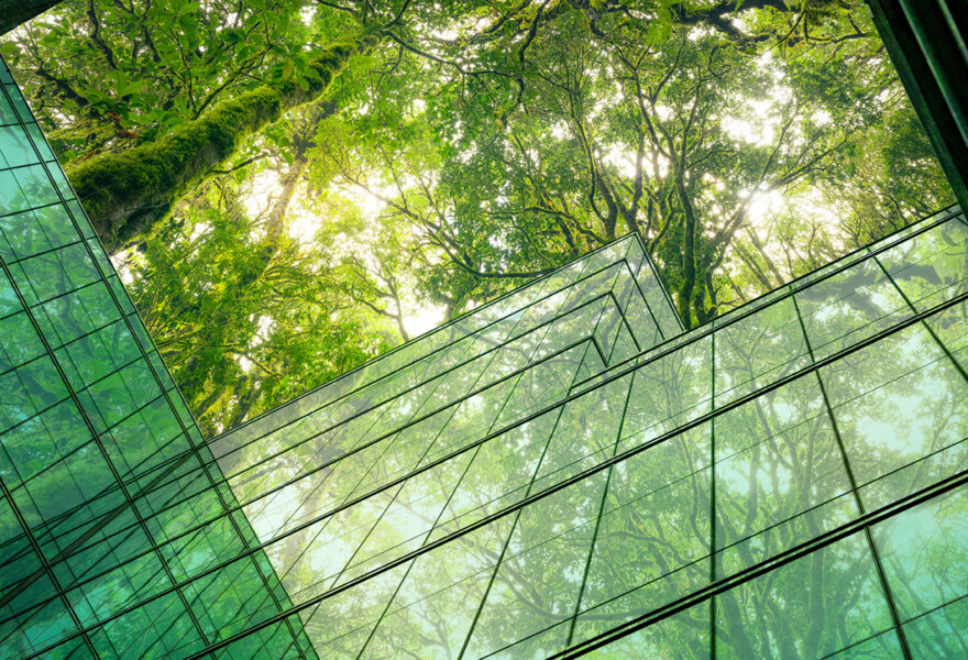 building nature strategy