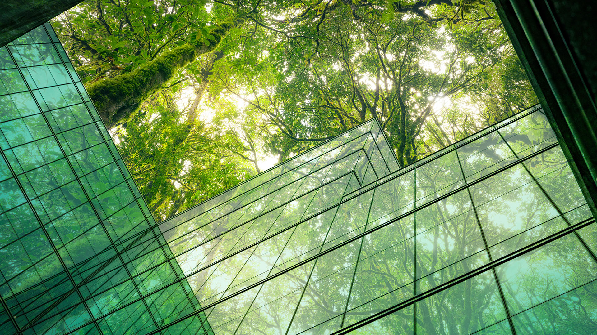 building nature strategy