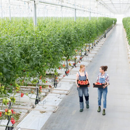food beverage climate nature strategy