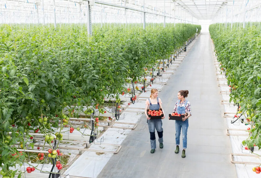 food beverage climate nature strategy