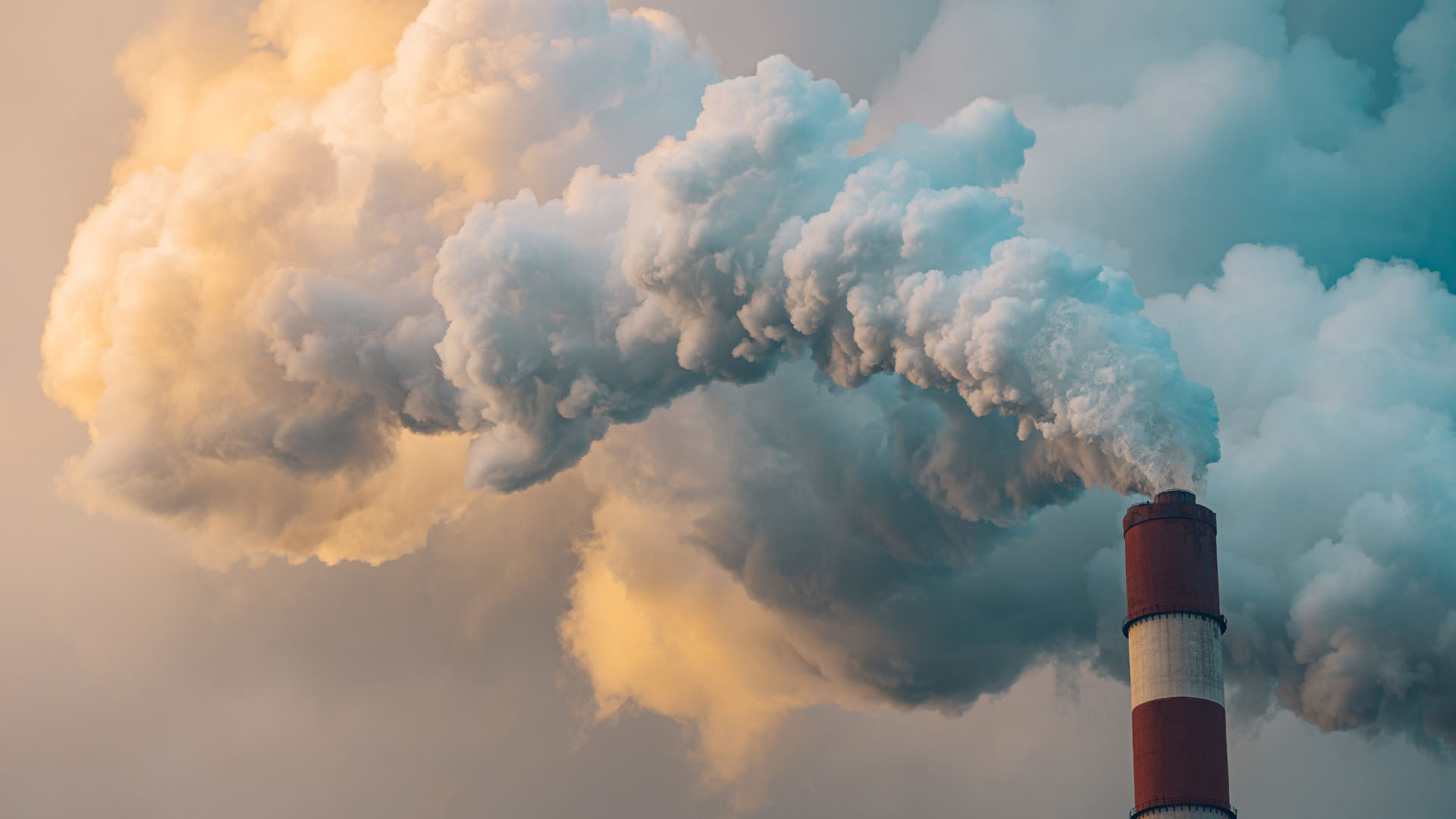 scope 3 decarbonization
