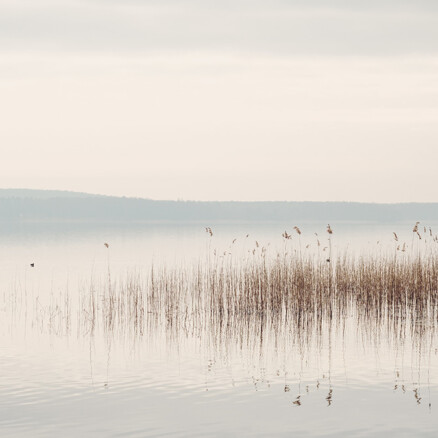 greenhushing - silence
