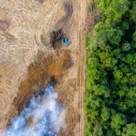 SBTi FLAG webinar on deforestation