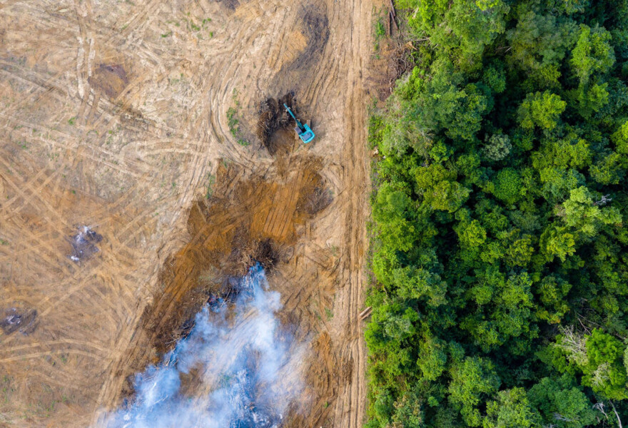 SBTi FLAG webinar on deforestation