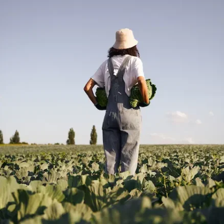 Regenerative Agriculture webinar