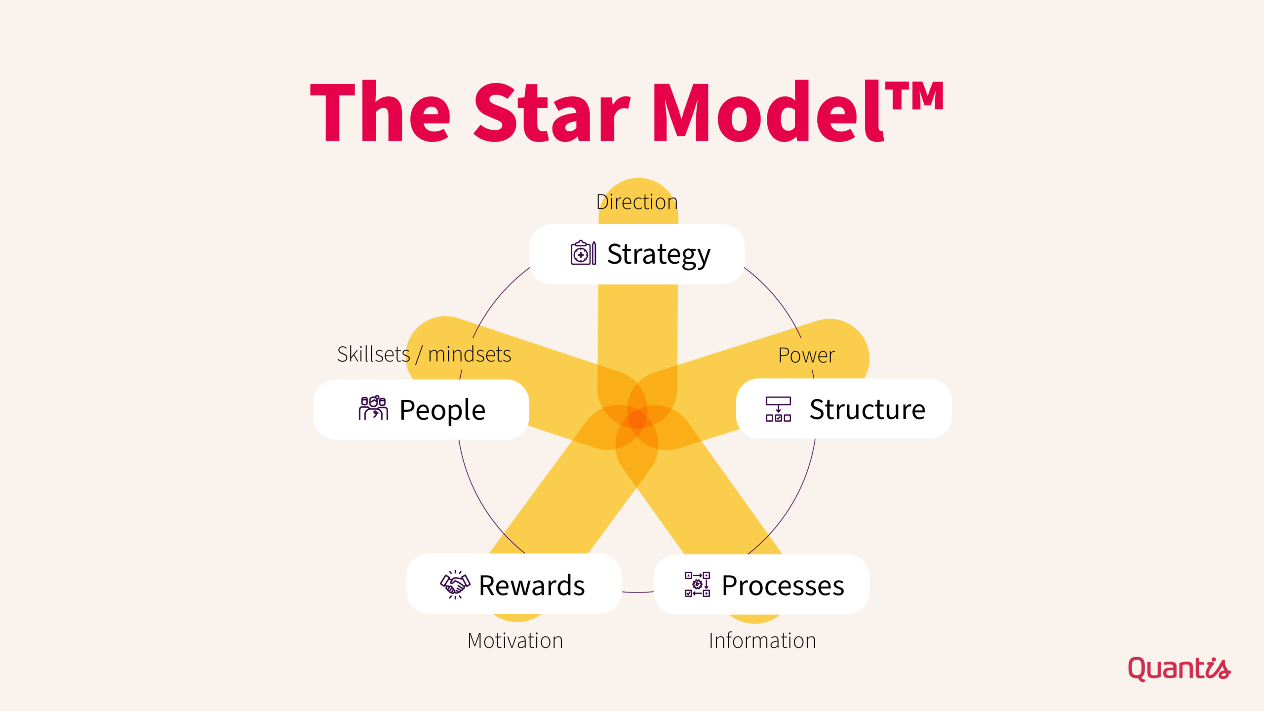 galbraith's star model