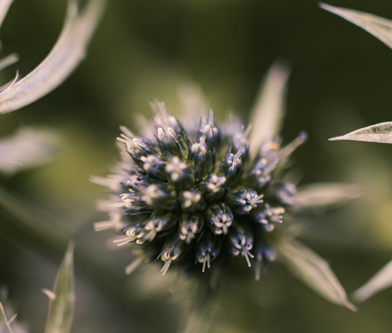 Comprendre le risque naturel
