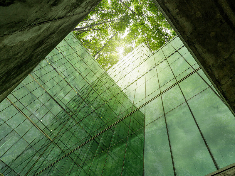 Environmental Risk Assessment