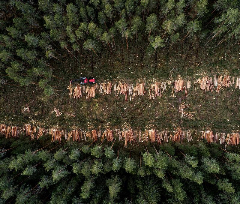 Comply with deforestation regulations and consider environmental voluntary frameworks.