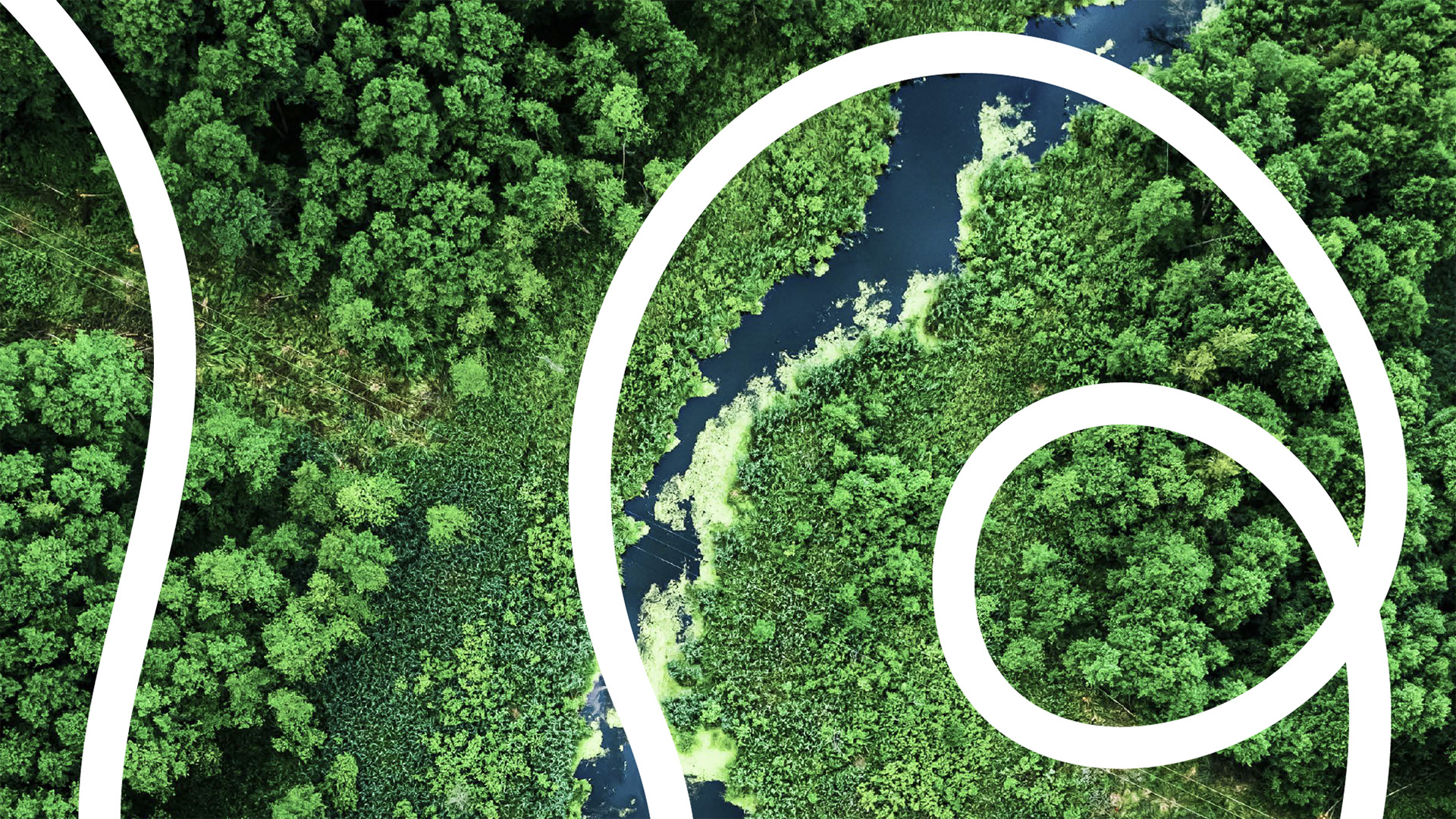 Societe Generale & Quantis pioneered a first-of-its-kind methodology to assess nature impacts in finance