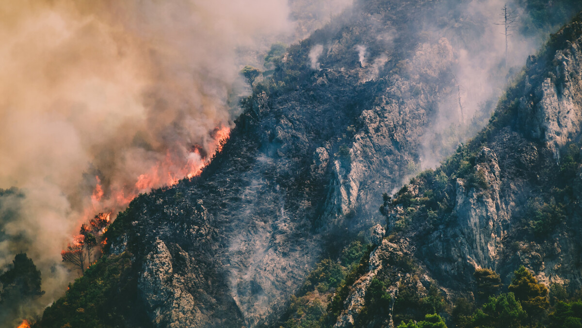 Adaptation and resilience of companies in the face of climate change  - Quantis and BCG report