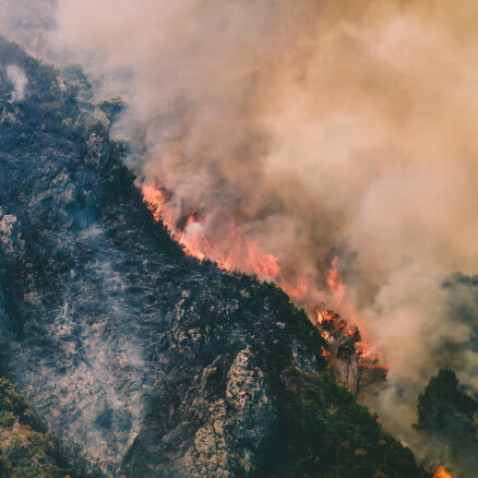 Adaptation and resilience of companies in the face of climate change  - Quantis and BCG report - Mobile