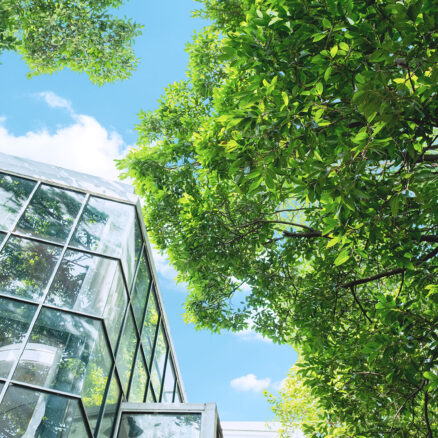 Nature et business building