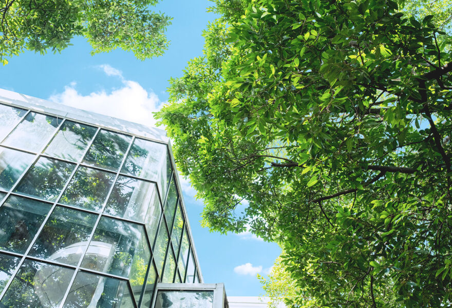 Nature et business building