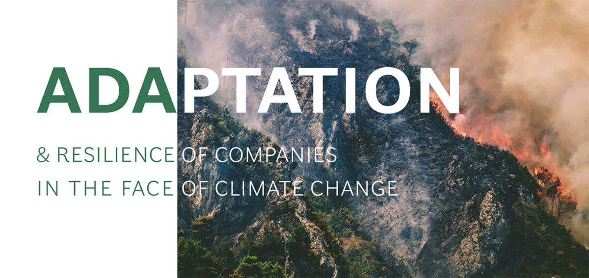 Adaptation and resilience of companies in the face of climate change - BCG Quantis report - fire