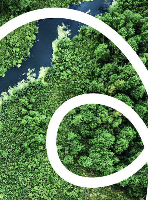 Understanding nature impacts across financed activities