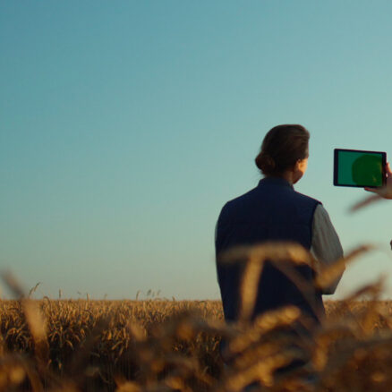Climate leadership for agriculture-driven companies