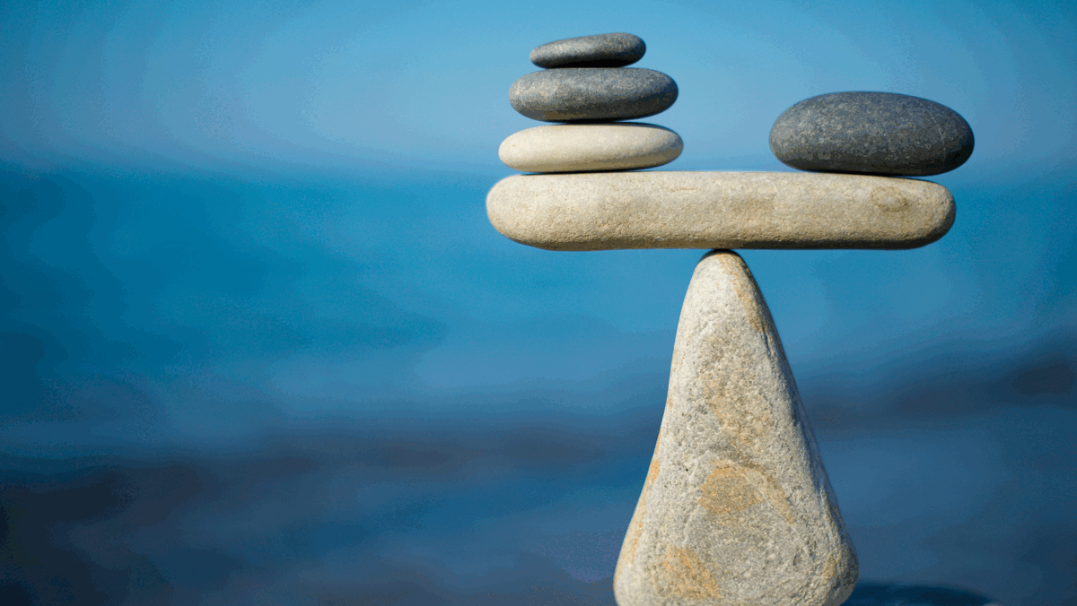 Balanceakt: Zwischen schnellem Handeln und bewusster Planung im Klima- und Naturschutz