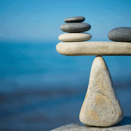 Balanceakt: Zwischen schnellem Handeln und bewusster Planung im Klima- und Naturschutz