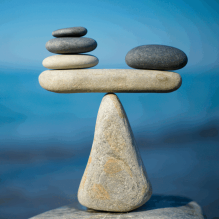 Balanceakt: Zwischen schnellem Handeln und bewusster Planung im Klima- und Naturschutz