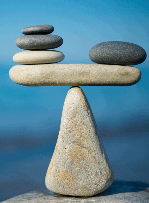 Balanceakt: Zwischen schnellem Handeln und bewusster Planung im Klima- und Naturschutz