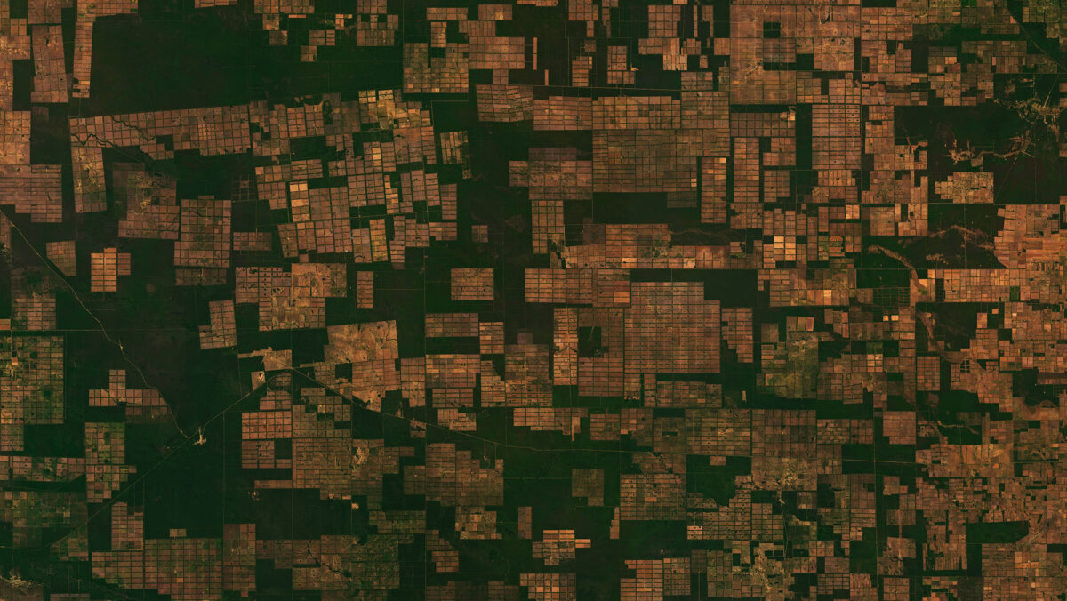 EUDR: Turning geospatial insight into competitive advantage