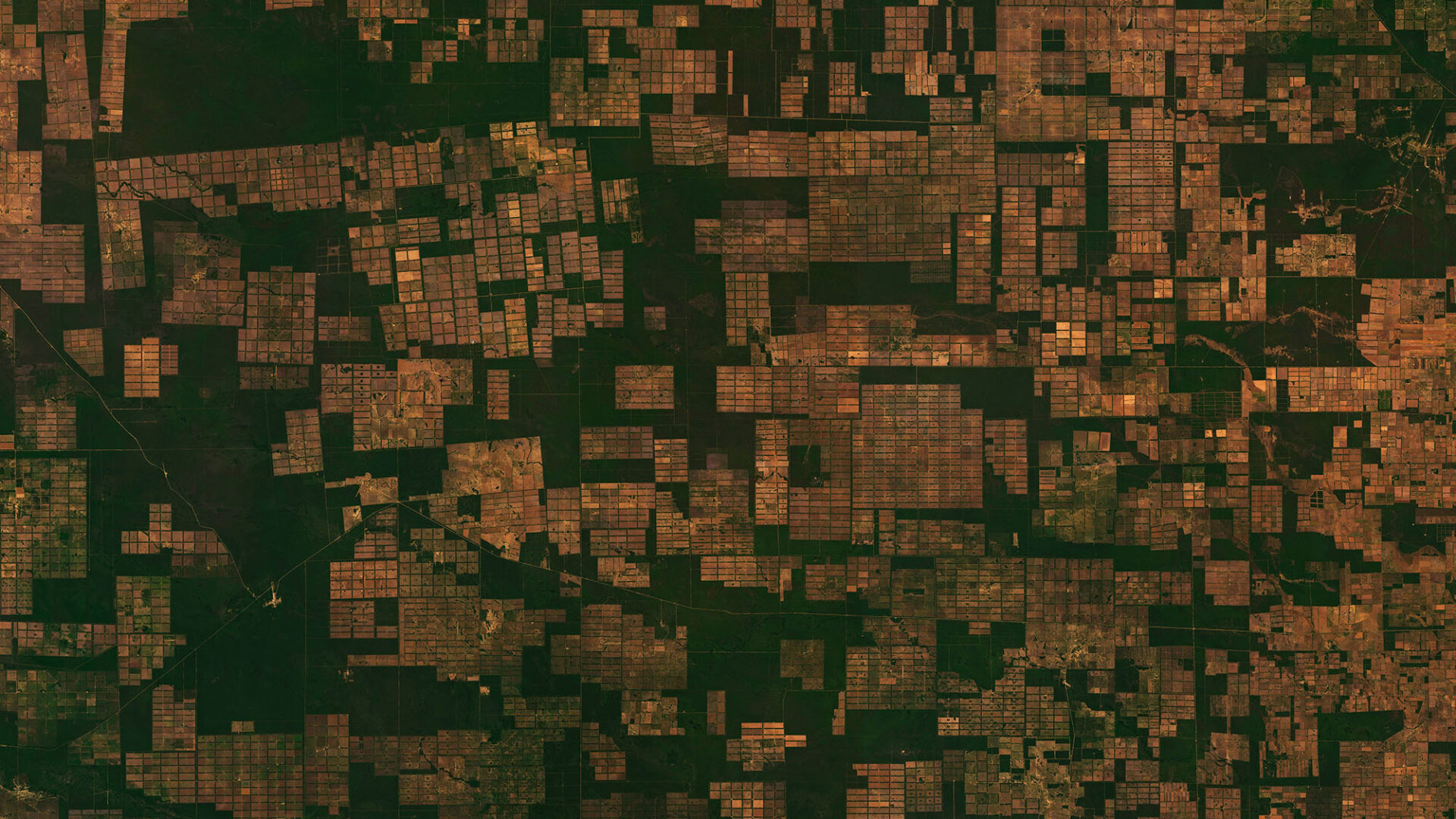 EUDR: Turning geospatial insight into competitive advantage