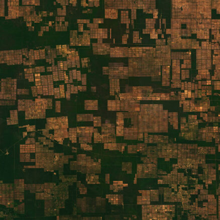 EUDR: Turning geospatial insight into competitive advantage